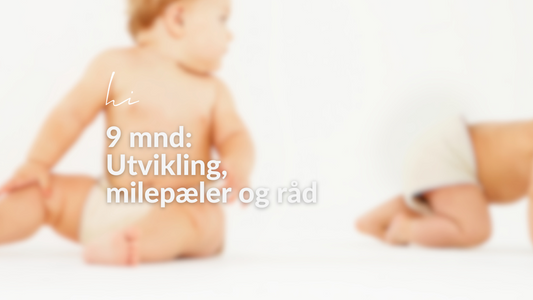 Babyens Utvikling ved 9 Måneder: Milepæler og Råd for Foreldre